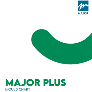 mayor